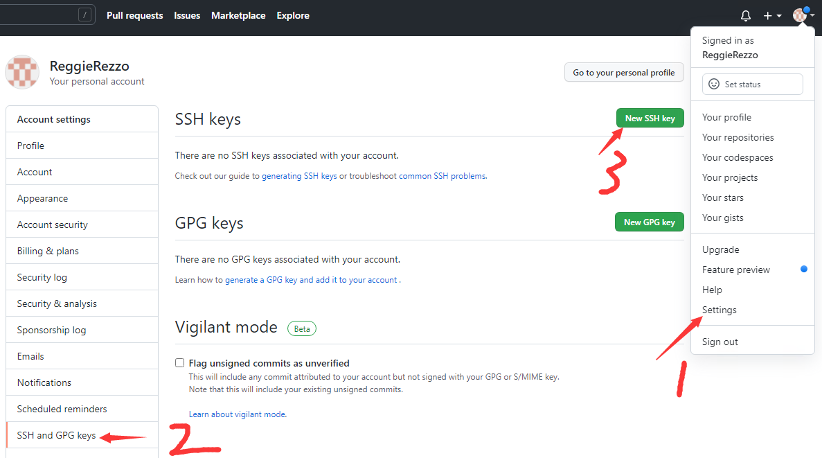 gitssh1